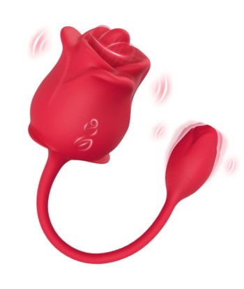 ARMONY - ROSA 2 EN 1 ESTIMULADOR ONDAS ESTIMULADORAS and VIBRADOR 10 MODOS CON COLA ROJO