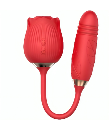 ARMONY - DELIGHT FLOWER ONDAS ESTIMULADORAS and THRUSTING ROJO