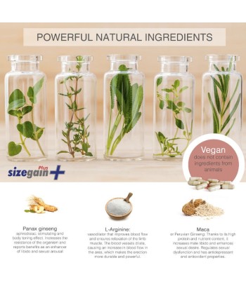 SizeGain Plus – Complemento alimenticio para aumentar el tamaño del pene y mejorar la potencia sexual