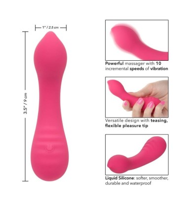 CALEXOTICS - PIXIES TEASER ROSA
