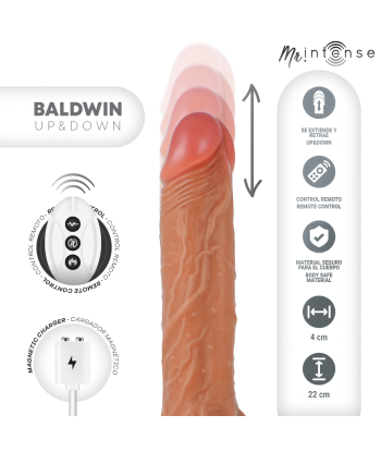 MR INTENSE - BALDWIN REALISTICO MULTIFUNCIÓN CON VIBRACIÓN UP AND DOWN CONTROL REMOTO 22 CM -O- 4 CM