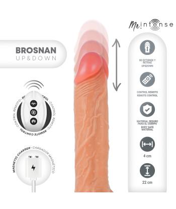 MR INTENSE - BROSNAN REALÍSTICO MULTIFUNCIÓN CON VIBRACIÓN UP AND DOWN CONTROL REMOTO 22 CM -O- 4 CM