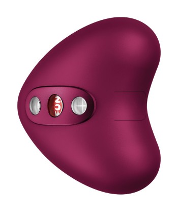 FUN FACTORY - LIBERA VIBRADOR AIR PULSE BURDEOS