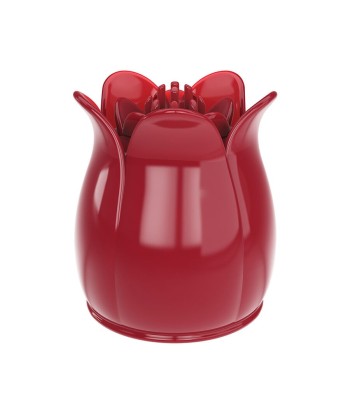 PRETTY LOVE - SECRET GARDEN CABEZAL MASAJEADOR ROSA