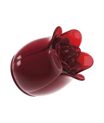 PRETTY LOVE - SECRET GARDEN CABEZAL MASAJEADOR ROSA