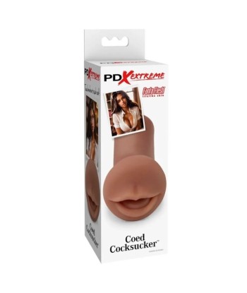 PDX EXTREME - MASTURBADOR COED COCKSUCKER