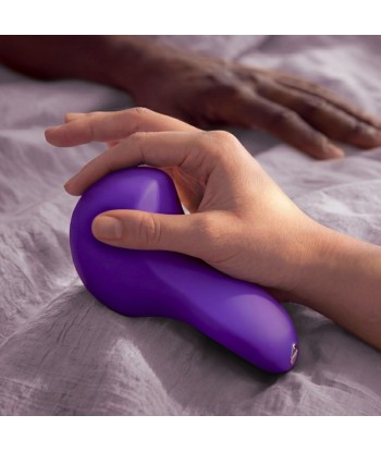 WE-VIBE - SHARED TOUCH VIBRADOR PARA PAREJAS DE DOBLE CARA PÚRPURA